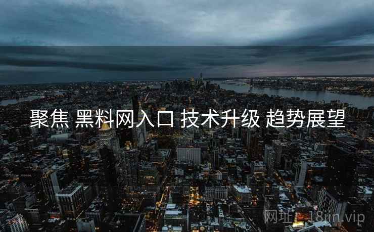 聚焦 黑料网入口 技术升级 趋势展望  第2张