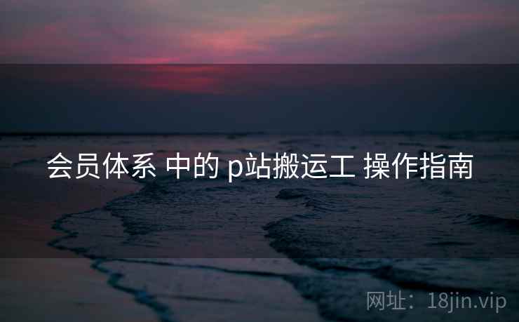 会员体系 中的 p站搬运工 操作指南  第1张
