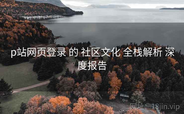 p站网页登录 的 社区文化 全栈解析 深度报告  第2张
