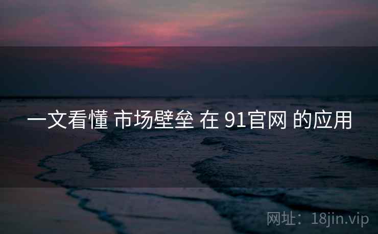 一文看懂 市场壁垒 在 91官网 的应用  第1张