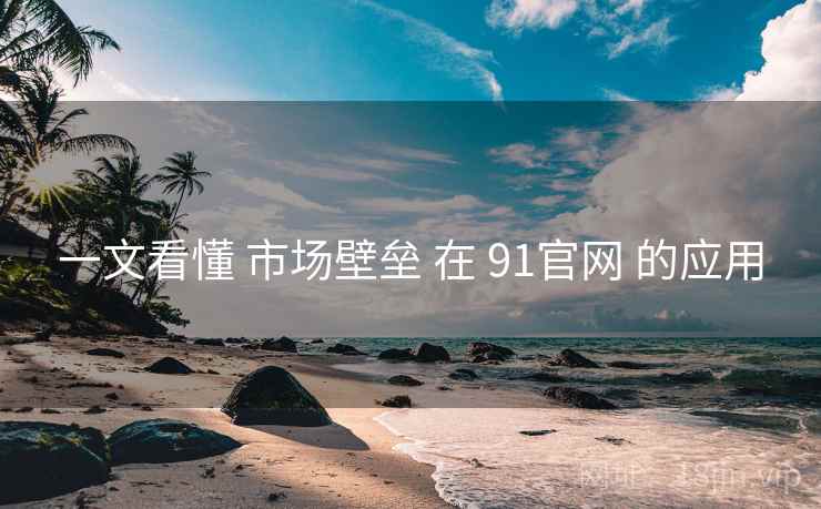 一文看懂 市场壁垒 在 91官网 的应用  第2张