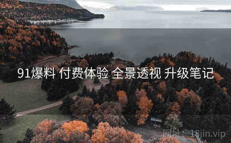 91爆料 付费体验 全景透视 升级笔记  第1张