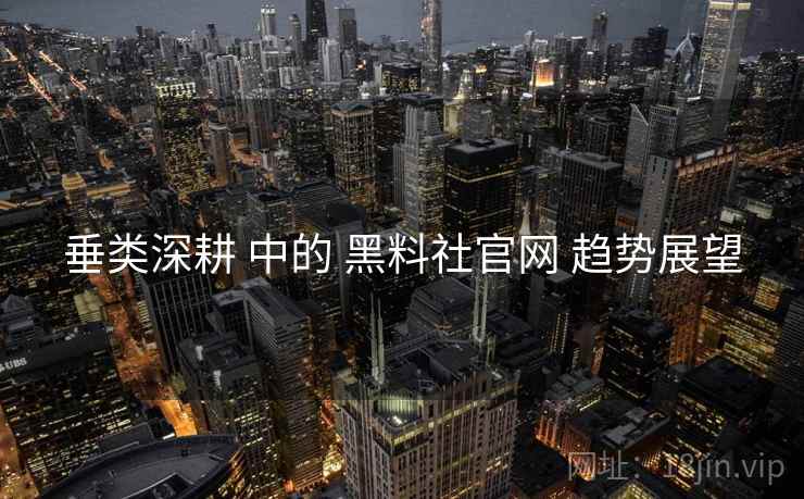 垂类深耕 中的 黑料社官网 趋势展望  第1张