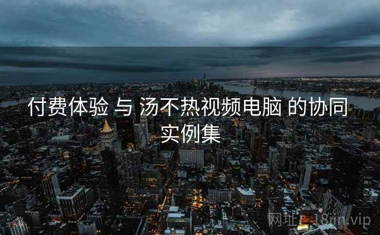 付费体验 与 汤不热视频电脑 的协同 实例集  第2张