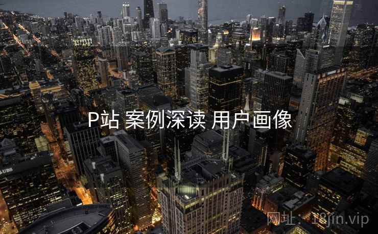 P站 案例深读 用户画像  第1张