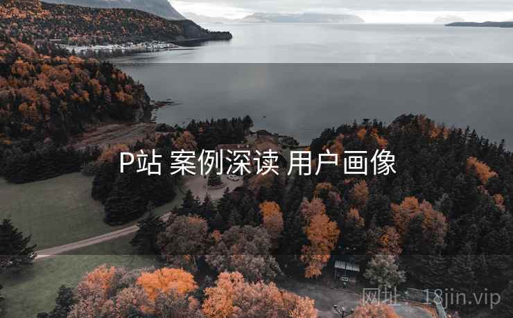 P站 案例深读 用户画像  第2张