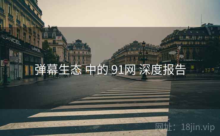 弹幕生态 中的 91网 深度报告  第1张