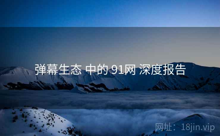 弹幕生态 中的 91网 深度报告  第2张