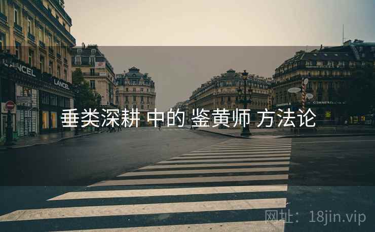 垂类深耕 中的 鉴黄师 方法论  第1张
