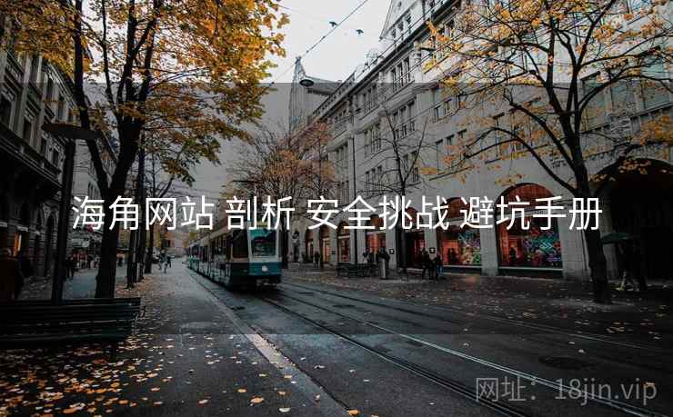 海角网站 剖析 安全挑战 避坑手册  第1张
