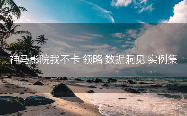 神马影院我不卡 领略 数据洞见 实例集  第1张