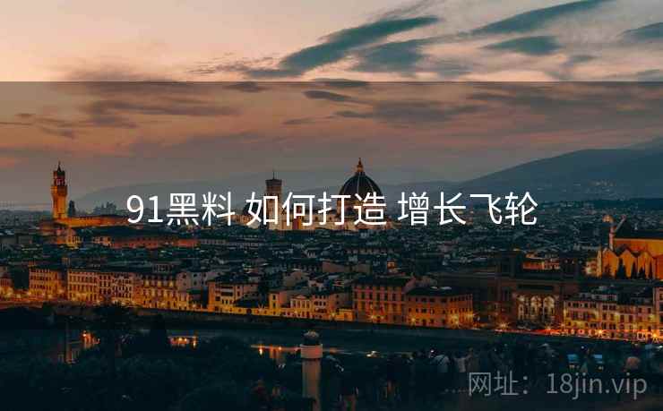 91黑料 如何打造 增长飞轮  第2张