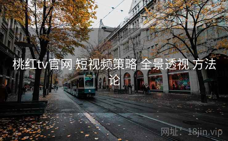 桃红tv官网 短视频策略 全景透视 方法论  第2张