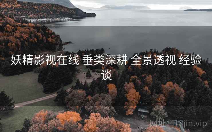 妖精影视在线 垂类深耕 全景透视 经验谈  第1张