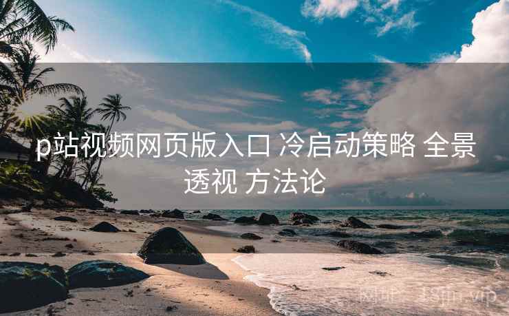 p站视频网页版入口 冷启动策略 全景透视 方法论  第2张