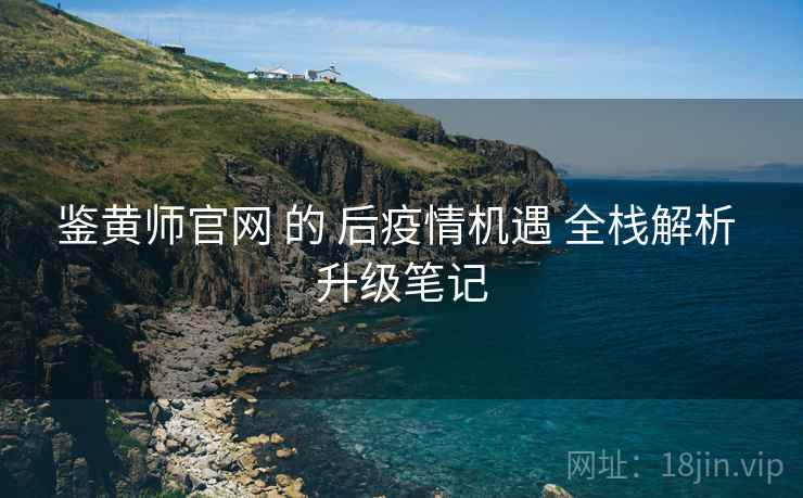 鉴黄师官网 的 后疫情机遇 全栈解析 升级笔记  第1张