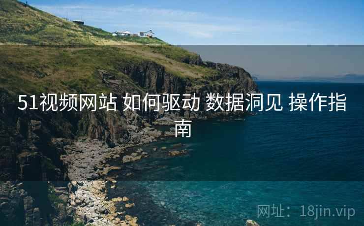 51视频网站 如何驱动 数据洞见 操作指南  第2张