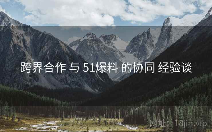 跨界合作 与 51爆料 的协同 经验谈  第1张