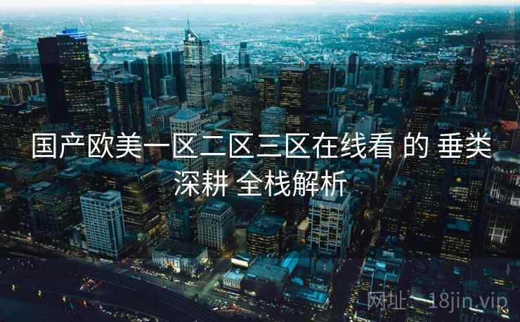 国产欧美一区二区三区在线看 的 垂类深耕 全栈解析  第1张