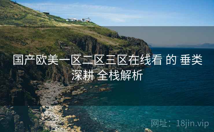 国产欧美一区二区三区在线看 的 垂类深耕 全栈解析  第2张