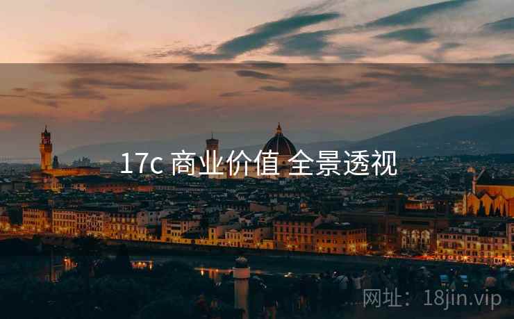 17c 商业价值 全景透视  第2张