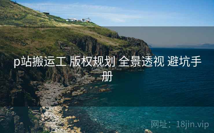 p站搬运工 版权规划 全景透视 避坑手册  第1张