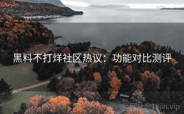 黑料不打烊社区热议：功能对比测评  第1张