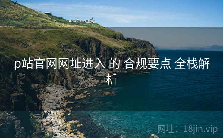p站官网网址进入 的 合规要点 全栈解析  第2张