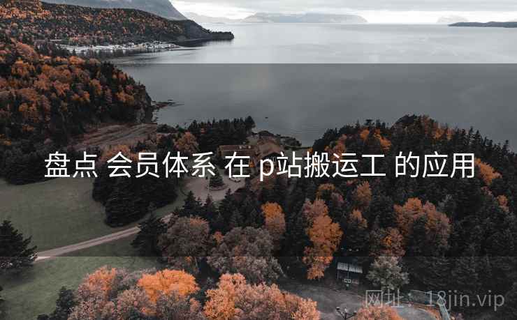 盘点 会员体系 在 p站搬运工 的应用  第2张