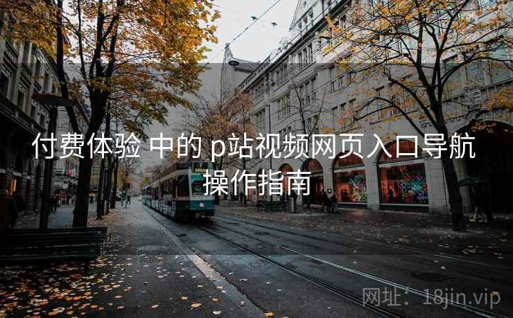 付费体验 中的 p站视频网页入口导航 操作指南  第2张