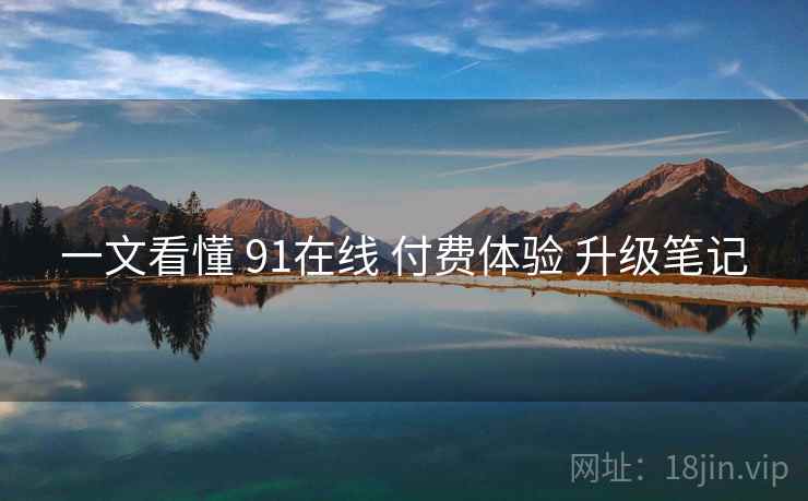 一文看懂 91在线 付费体验 升级笔记  第1张