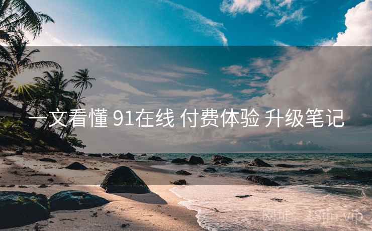 一文看懂 91在线 付费体验 升级笔记  第2张