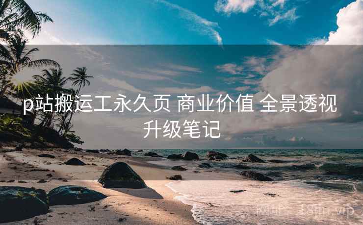 p站搬运工永久页 商业价值 全景透视 升级笔记  第1张