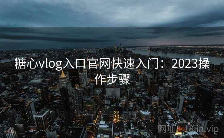 糖心vlog入口官网快速入门：2023操作步骤  第1张
