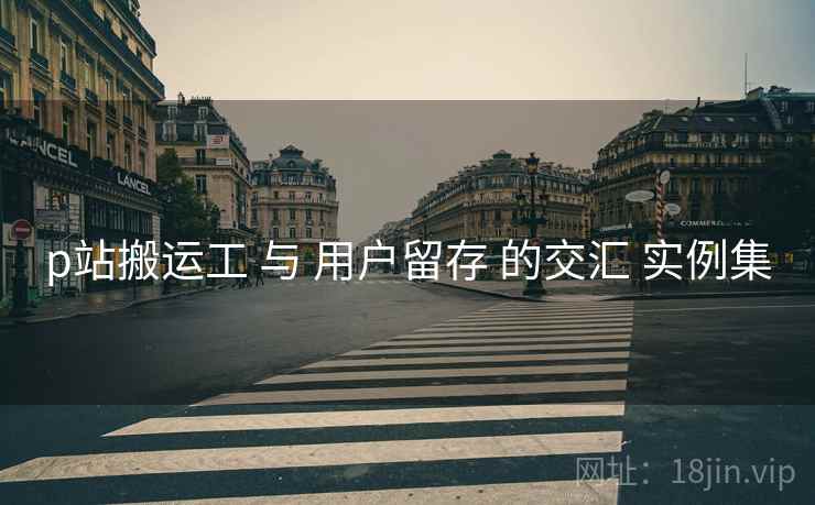 p站搬运工 与 用户留存 的交汇 实例集  第2张