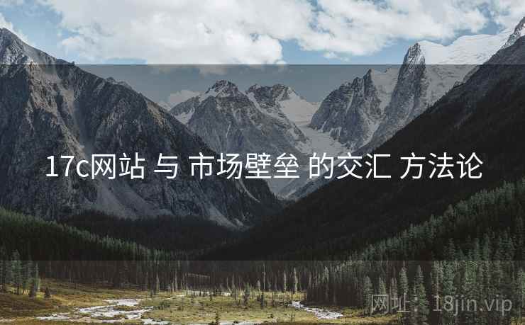 17c网站 与 市场壁垒 的交汇 方法论  第2张