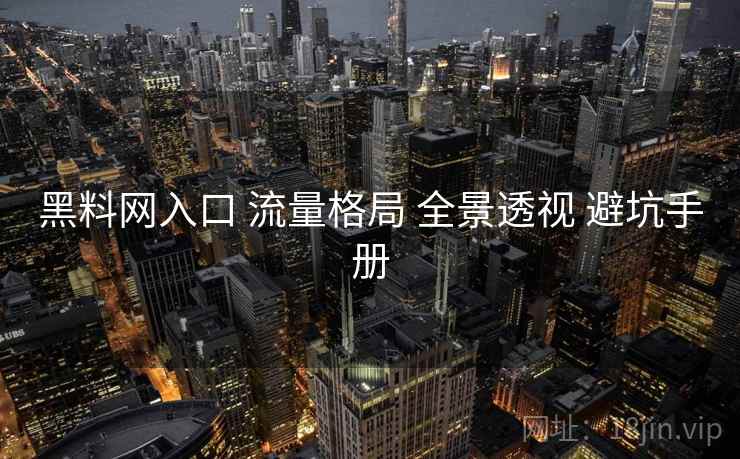 黑料网入口 流量格局 全景透视 避坑手册  第2张