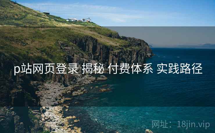p站网页登录 揭秘 付费体系 实践路径  第2张
